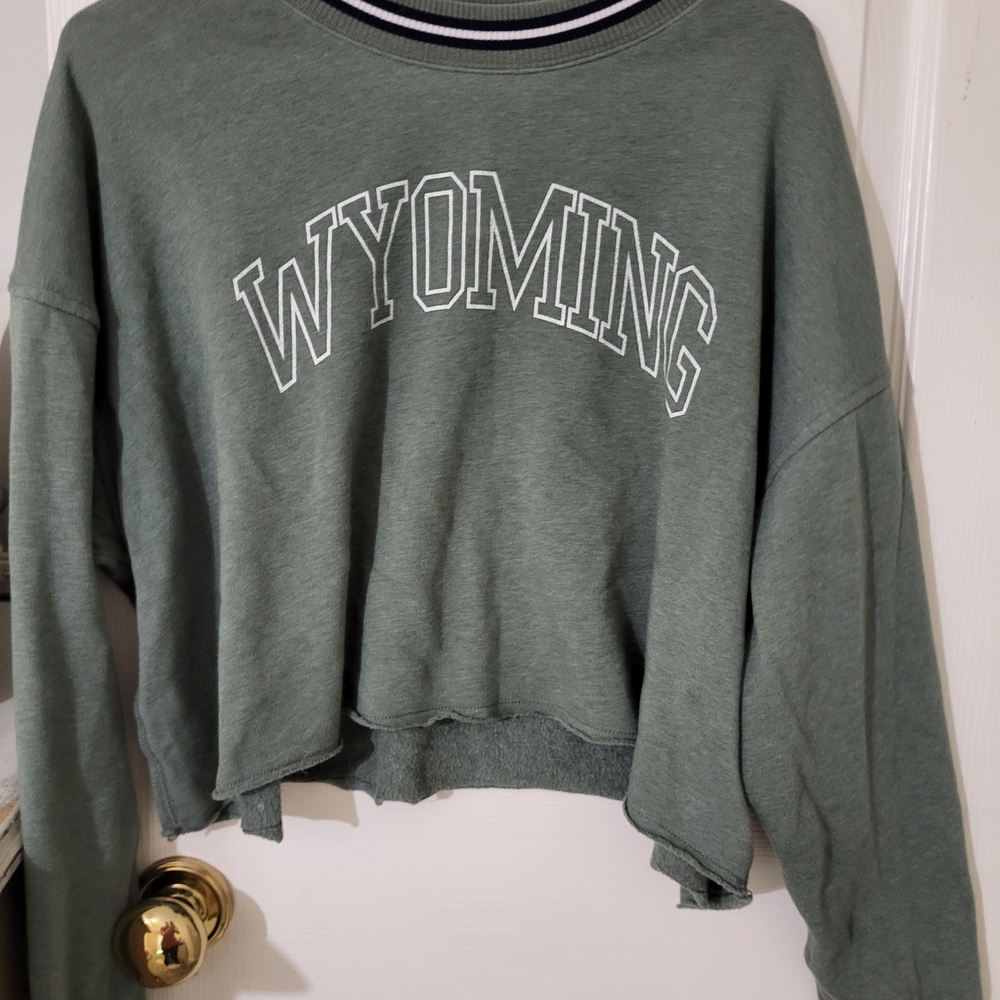American Eagle Outfitters Green Sweatshirt